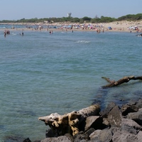 Photo de France - La randonnée de la Tamarissière